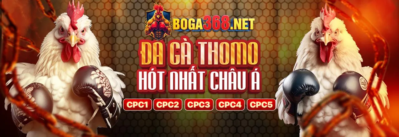 Sân vận động lớn với logo JN88 và hình ảnh các môn thể thao
