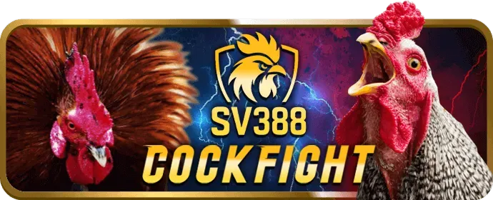 Mạng xã hội JN88